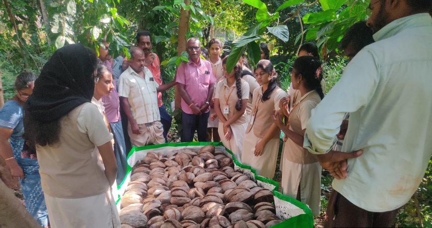 ജൈവ കൃഷിപാഠവുമായി അമൃത കോളേജ് വിദ്യാർത്ഥികൾ