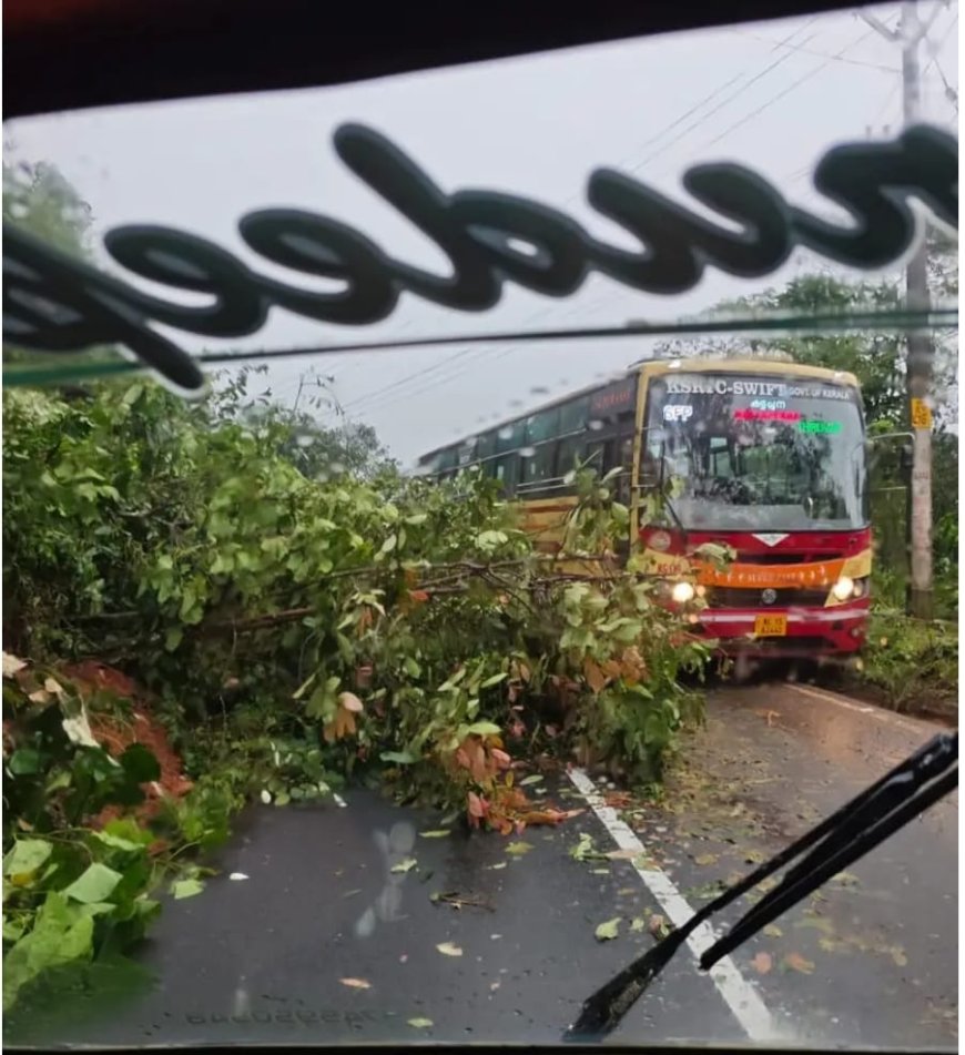 ഇടുക്കിയിൽ വിവിധ ഭാഗങ്ങളിൽ മണ്ണിടിഞ്ഞു.